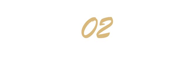 沙特在航展大采购中东第一支中械军或将出现Long8国际平台登录入口不止是歼10C(图8)