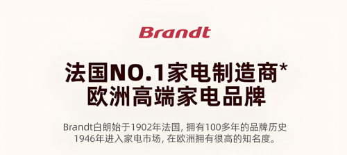 法国白朗BK4烤箱精准拿捏上流圈层品味头号玩家龙八国际网址顶级富豪的一致选择(图2)