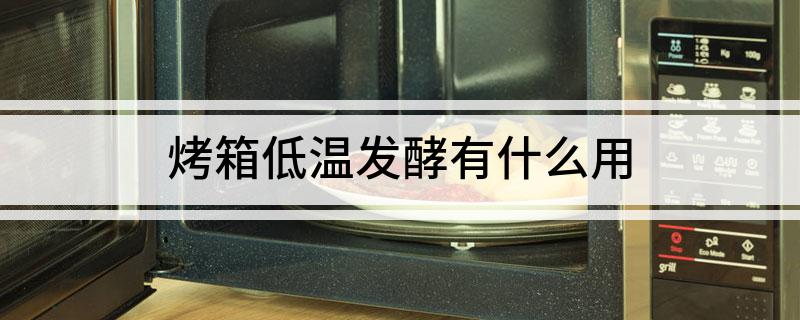 酵有什么用烤箱低温发